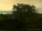 Baumreihe (Row of trees)