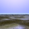 Swamp and Jungle