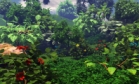 PARADISE SCENE
