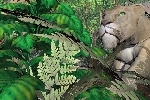 Secrets in the Jungle