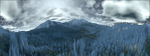 Treemountain II