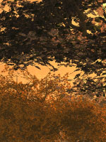 Mountain Sunset