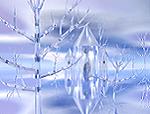 Ice-scape