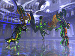 The Arena