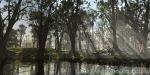 Riverbank