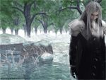 Reflection of the Soul