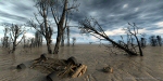 Carbon Cycle