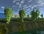 Ivy Trees