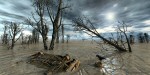 Carbon Cycle MKII