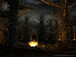 Fires in the wood