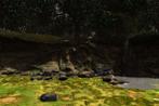 Jungle V1.0