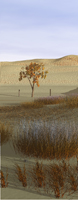 Autumn Render