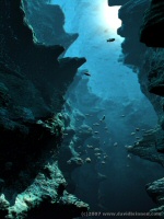 Deep Blue