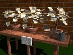 who ever said money dosn't grow on trees...