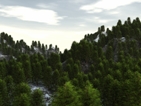 ForestV1
