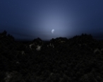 Night Forest