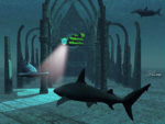 Shark Church...