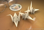 Birds in flight