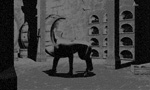 Cellar