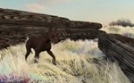 Wood Yard Planet-X (No Postwork)