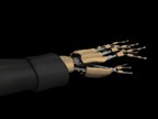 Hand