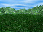 More Grass