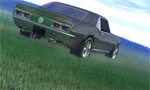 Grass Trail