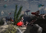 Freshwater Friends