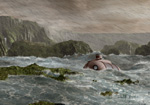 Wild Sea