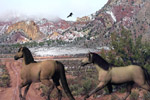 Cockscomb Ridge