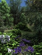 Summer Foliage