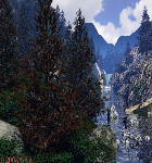 Stream