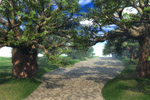 Tree Lane