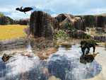 Pleasant Mesa