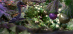Bulgarian Greedy Bird