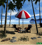Vacation