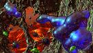 Microbial world 10