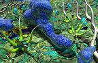 Microbial World 1