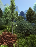 Whispers in the Woods