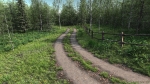 Country Lane  Carrara 6 PRO Howie Farkes