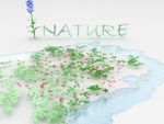 Nature?