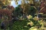 Fall Foliage