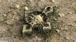 The Bane Relic