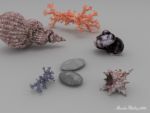 Gifts of Sea