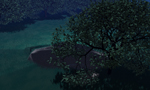 Full moon lake