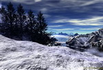Winter View