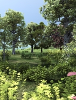 Spring Foliage