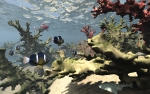 Under the Sea Surface