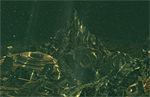 Remnants of the Past