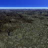 Tundra